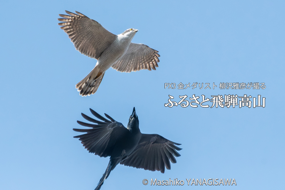 　撮影・柳沢雅彦